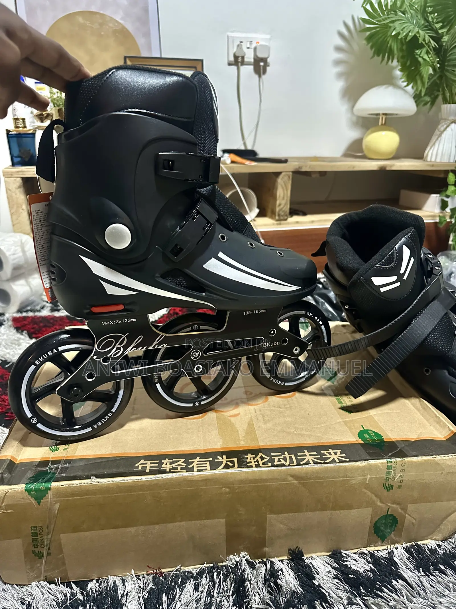 Inline Roller Skates