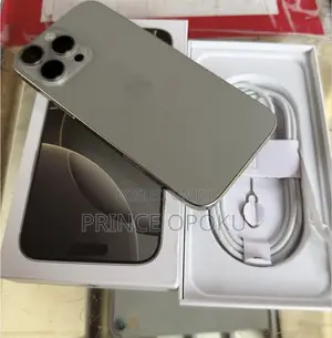 Apple iPhone 16 Pro Max 256 GB Gray