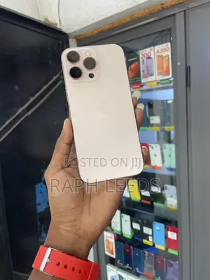 New Apple iPhone 16 Pro Max 256 GB Gray