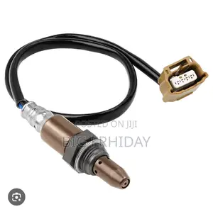 Nissan Sentra Qashqai Patrol Pathfinder Oxygen Sensor Top and Down