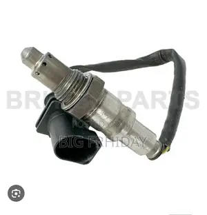 Range Rover Oxygen Sensor Top and Down