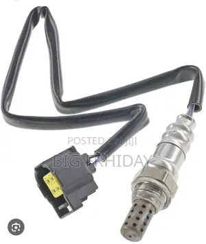 Benz Oxygen Sensor Top and Down