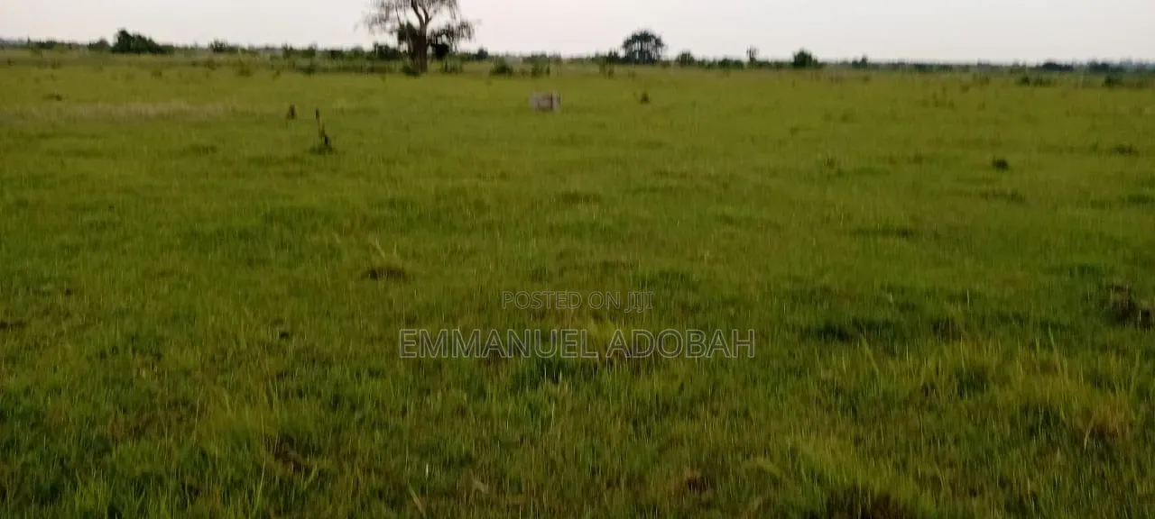Title Land for Sale