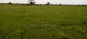 Title Land for Sale
