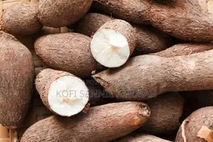 Cassava Tubers