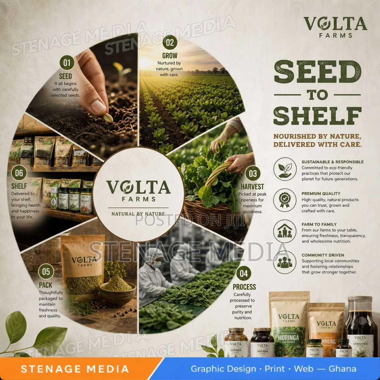 Infographic Design – Business, Data Social Infographics