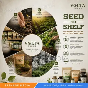 Infographic Design – Business, Data Social Infographics