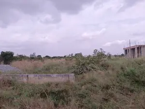 2 Plots of Land for Sale at Odumse Along Afienya-Dodowa Road