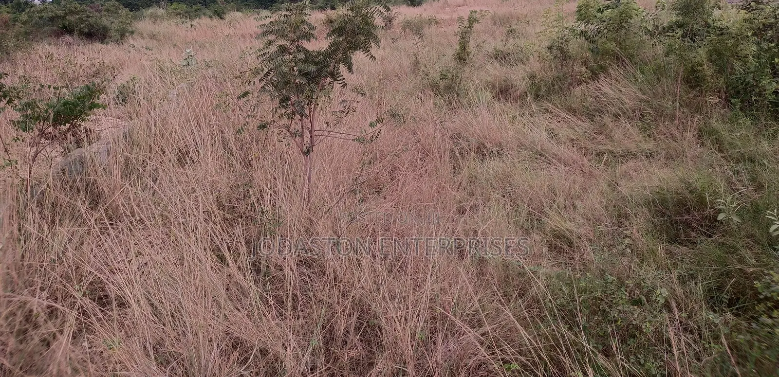 2 Plots of Land for Sale at Odumse Along Afienya-Dodowa Road