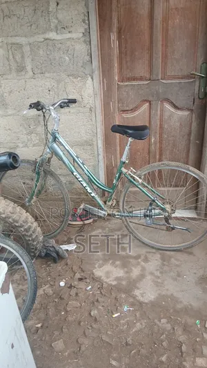 Bicycle for Sale