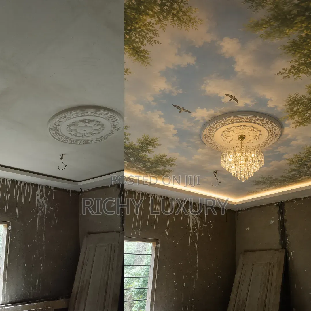 3d Ceiling Murals