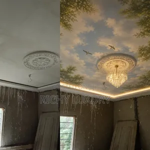 3d Ceiling Murals