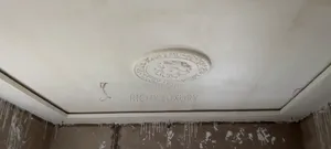 3d Ceiling Murals