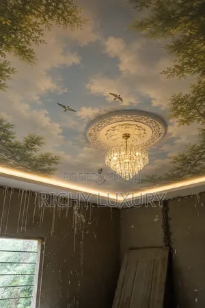 3d Ceiling Murals