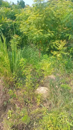 Titled Land for Sale at Spintex 18 Junction and Dorwulu for Sale .