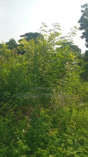 Titled Land for Sale at Spintex 18 Junction and Dorwulu for Sale .