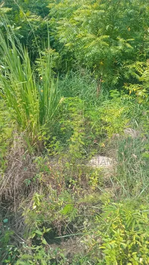 Titled Land for Sale at Spintex 18 Junction and Dorwulu for Sale .