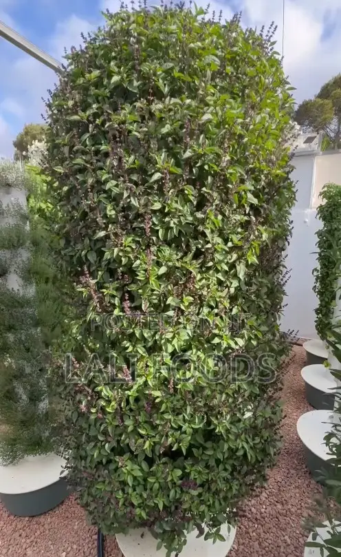 All-in-One Hydroponic Towers for Vertical Farming - 16 Pot Model