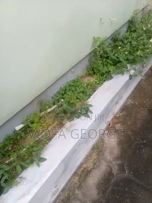 3bdrm House in God Linkt, Mile 7 for rent