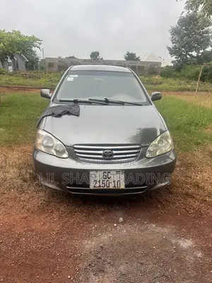 Toyota Corolla LE 2006 Gray