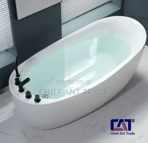 Bathtub With Shower and Regulators