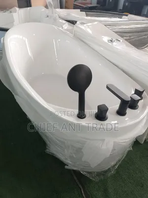 Bathtub With Shower and Regulators