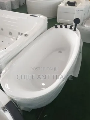 Bathtub With Shower and Regulators