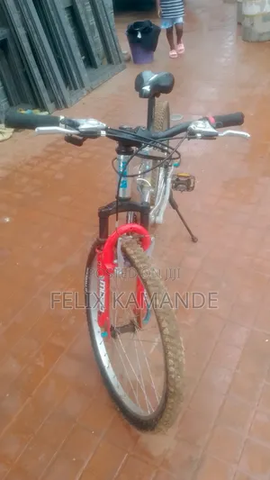 Bicycle Home Use