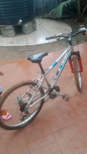 Bicycle Home Use