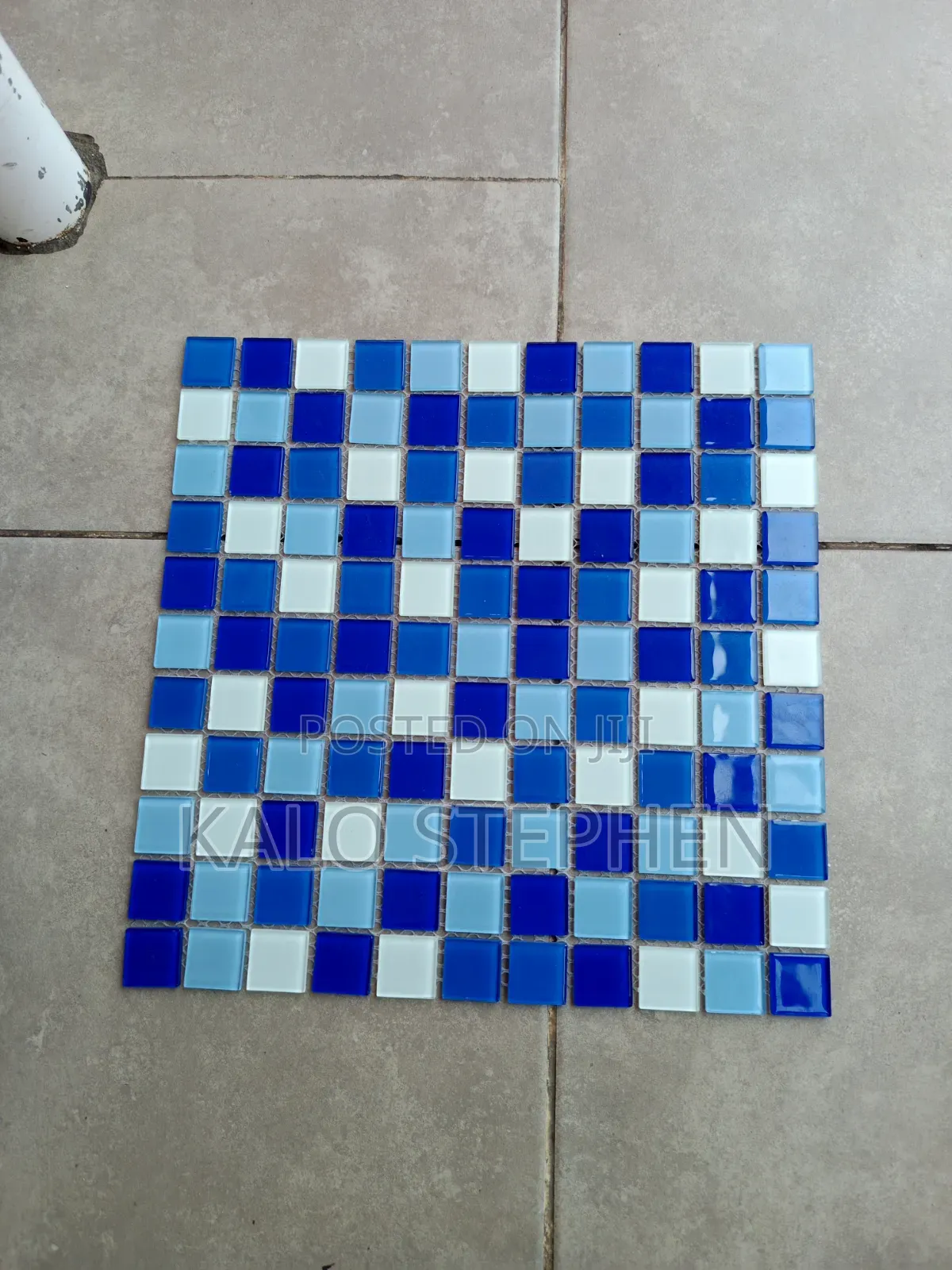 Swimming Pool Contractor