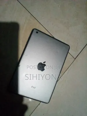 Apple iPad mini 2 256 GB Gray