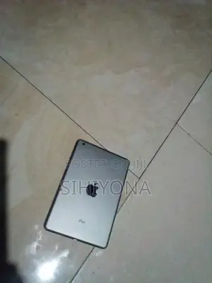 Apple iPad mini 2 256 GB Gray