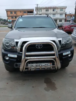 Toyota Tacoma 2010 Gray