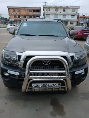 Toyota Tacoma 2010 Gray
