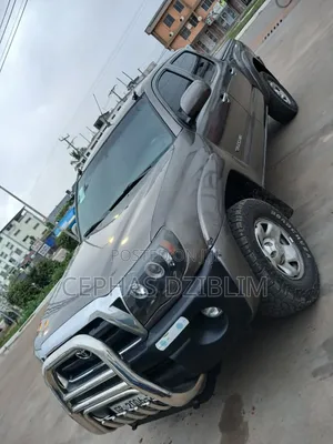 Toyota Tacoma 2010 Gray
