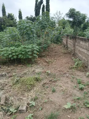 3 Plots of Land for Sale