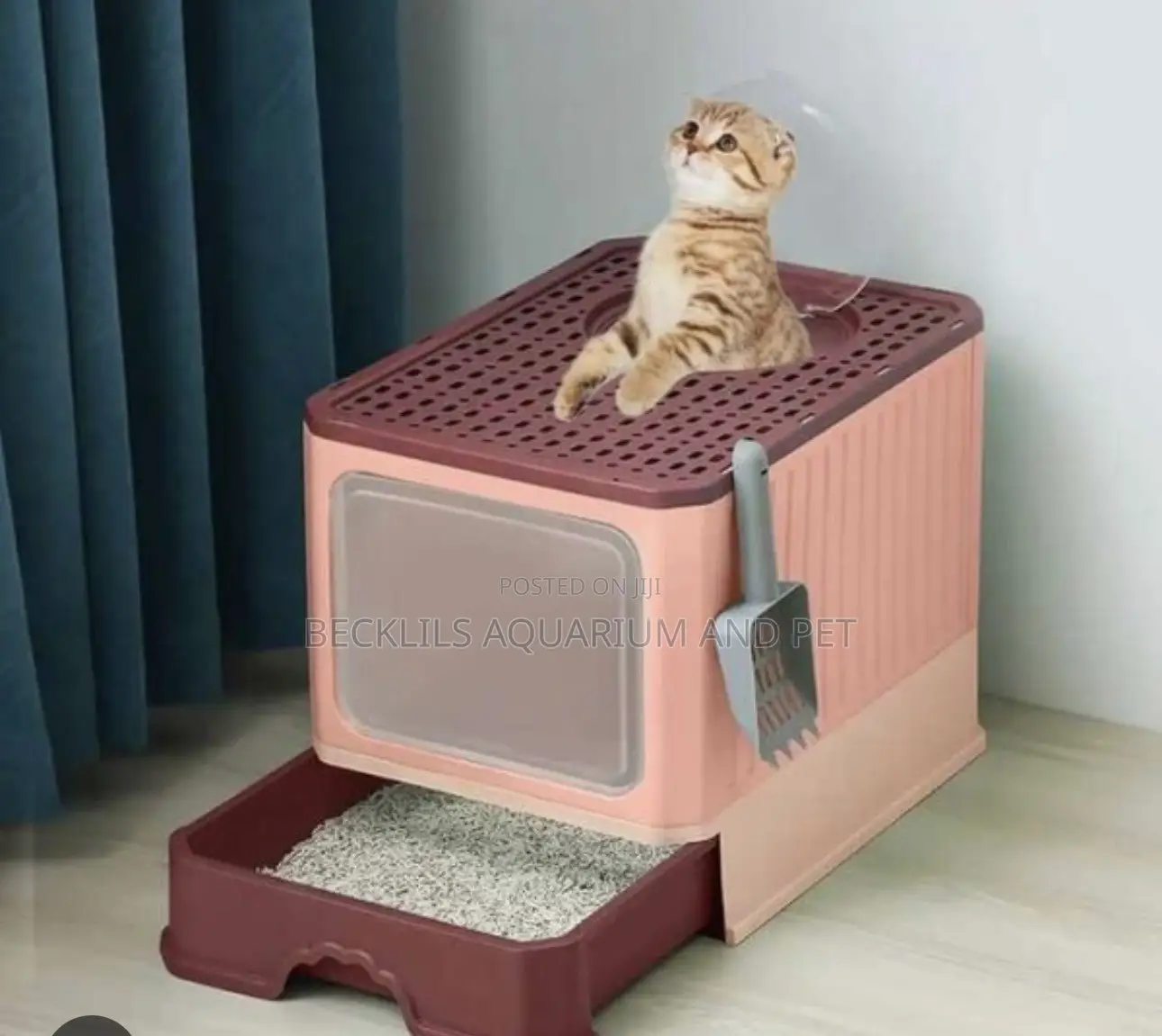 Pink Cat Litter Box With Lid