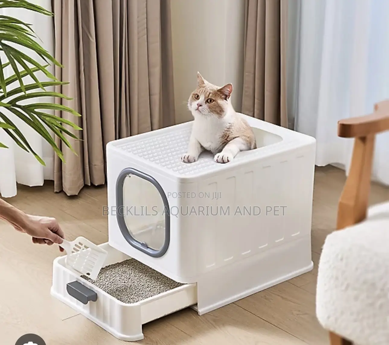 Pink Cat Litter Box With Lid