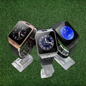 Smart Berry 2030 Sim Watch