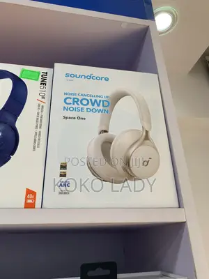 Philips Headset