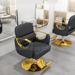 Professional Salon Chair
