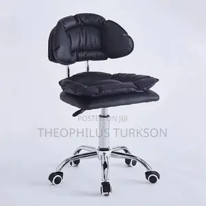 Salon Chair