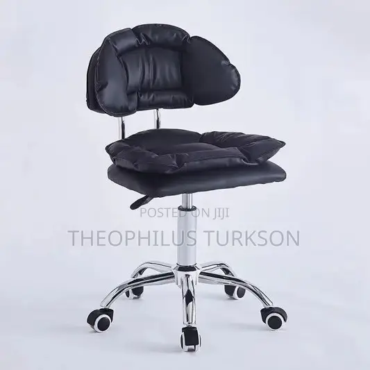 Salon Chair
