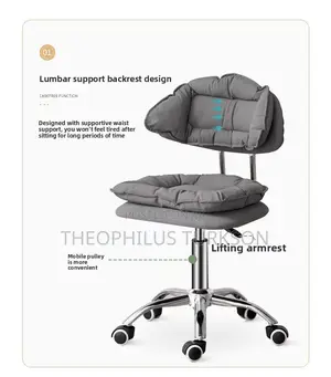 Salon Chair