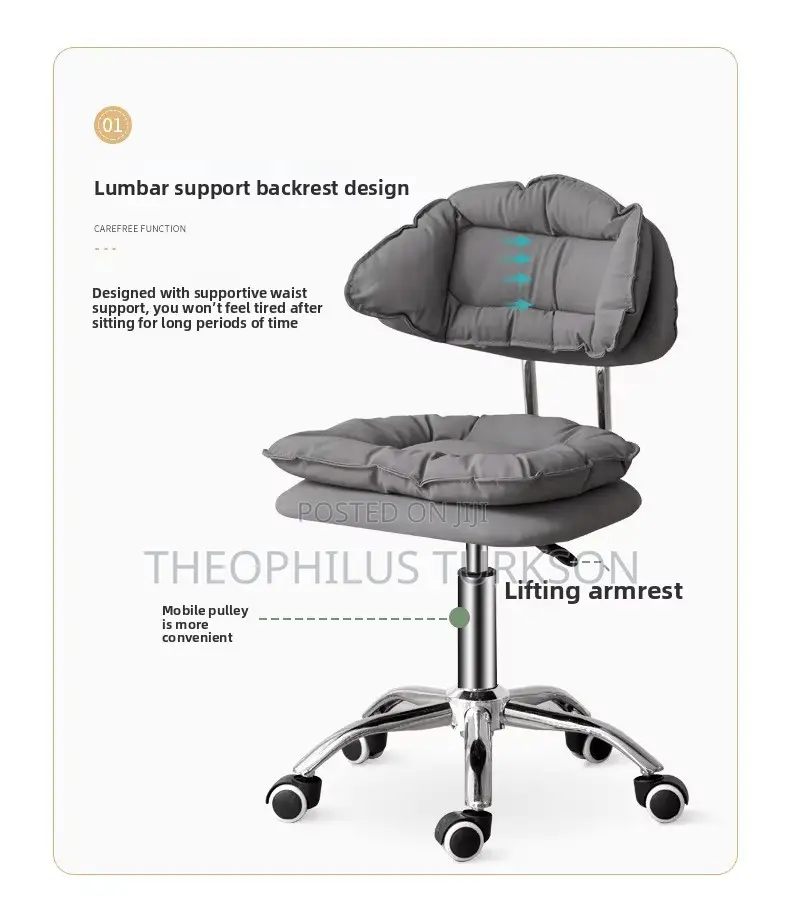 Salon Chair
