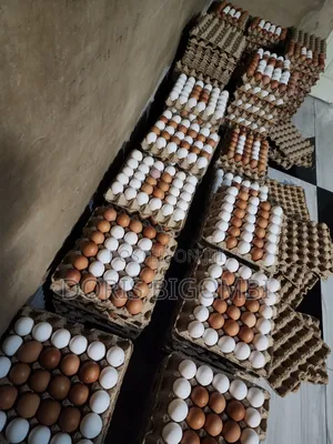 Fresh Farm Egg Depot