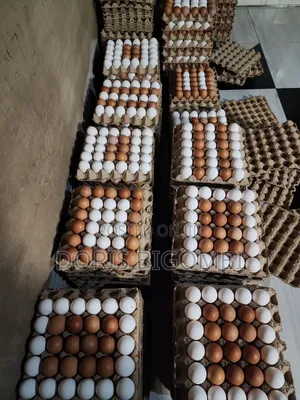 Fresh Farm Egg Depot