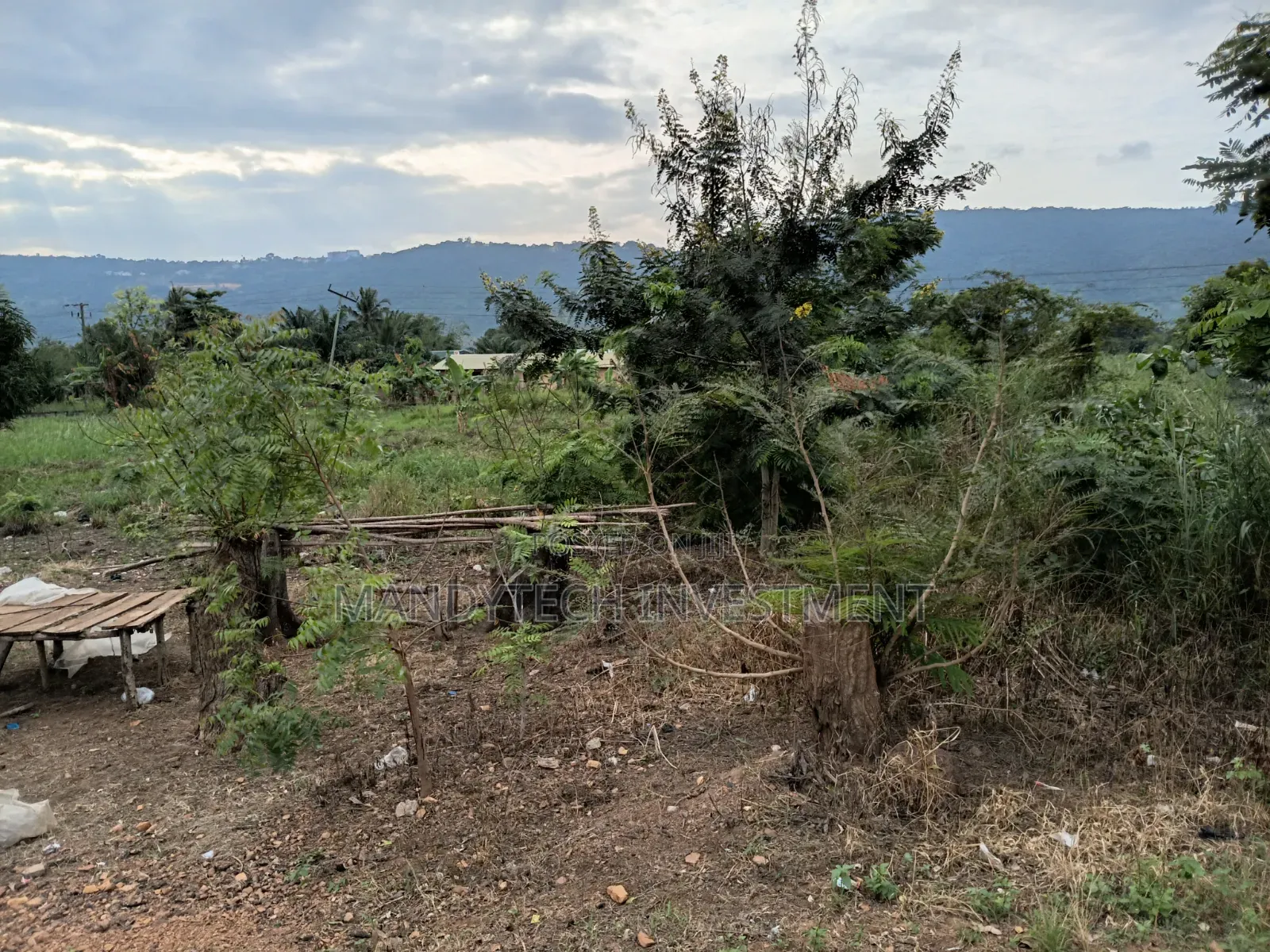 10 Acres of Commercial Land - Dodowa- Ayi Kuma