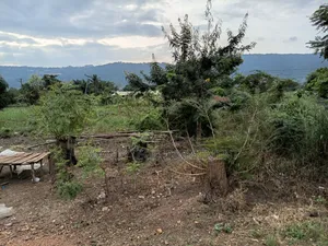 10 Acres of Commercial Land - Dodowa- Ayi Kuma