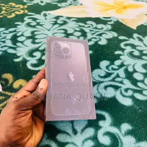 Apple iPhone 13 Pro Max 128 GB Gray